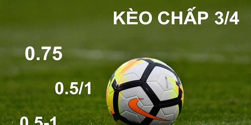 Kèo 3 cửa và thông tin chi tiết về Kèo 3 cửa mới nhất 2 Tỷ lệ của kèo 3 cửa có gì khác biệt?