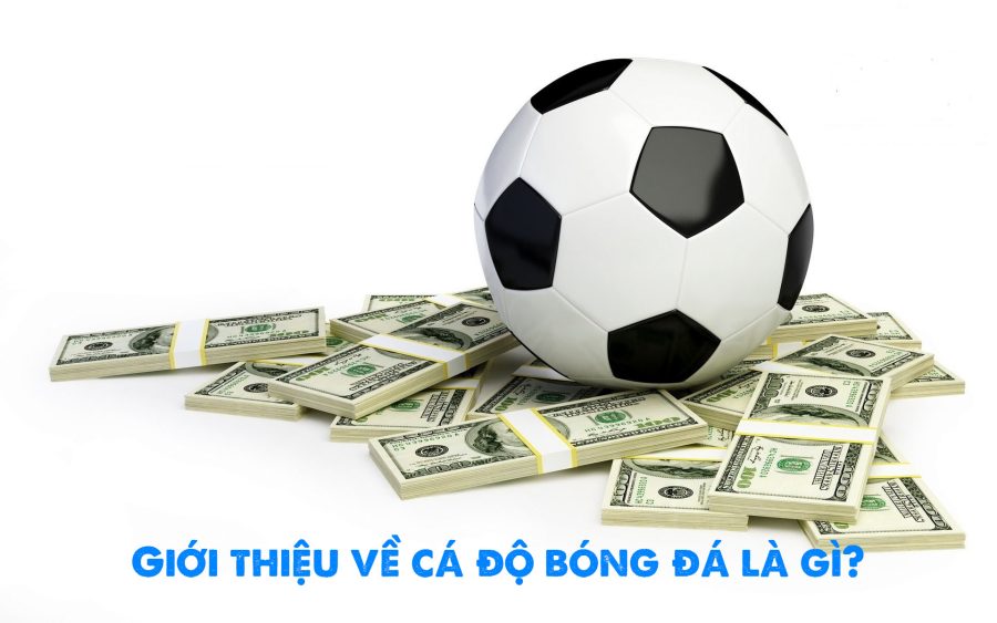Cá độ bóng đá là gì? Tìm hiểu về cá độ bóng đá online 1 Giới thiệu về cá độ bóng đá là gì?